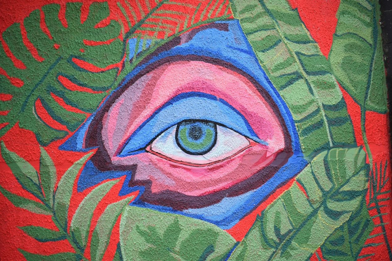 blue and red womans face drawing